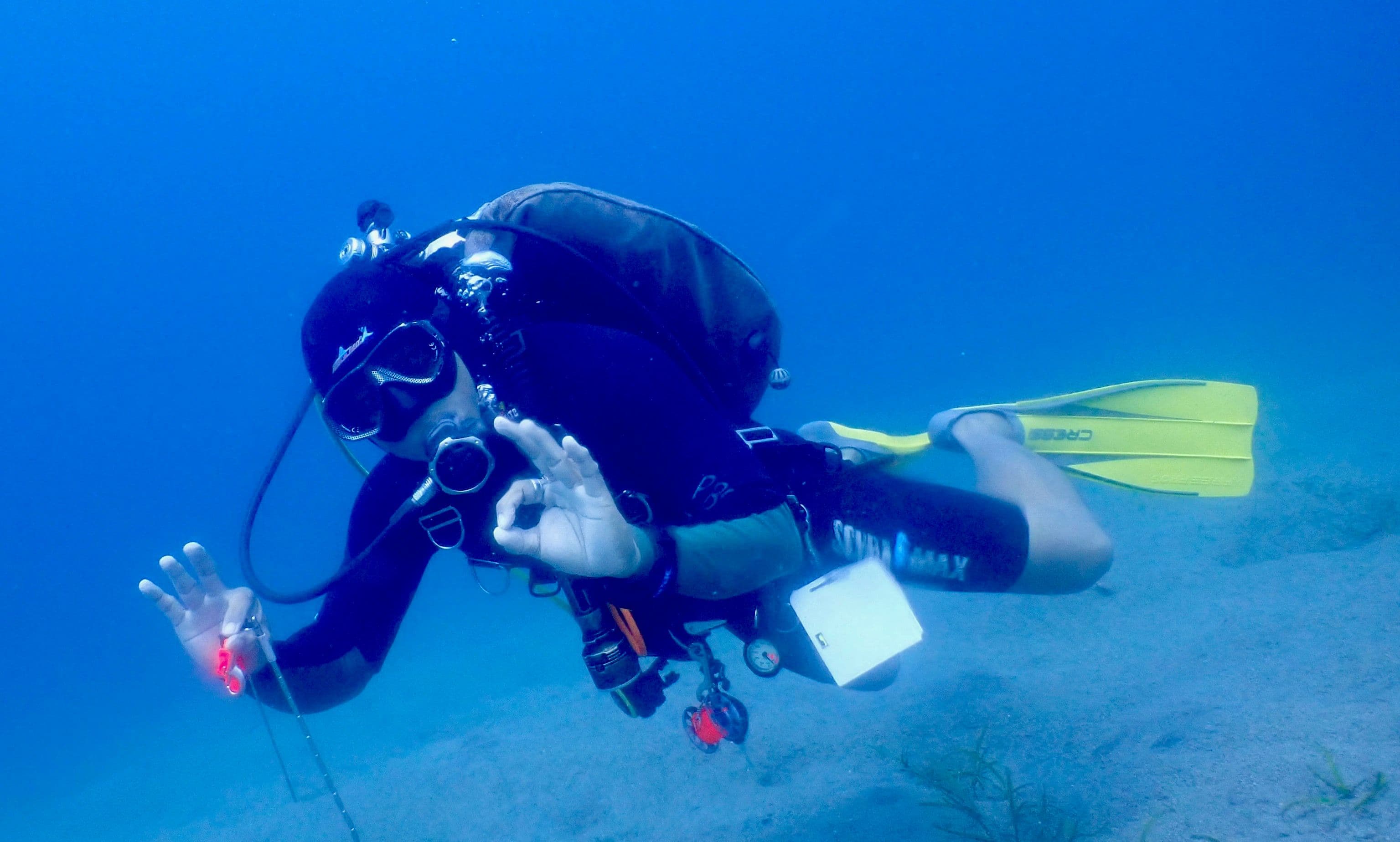 NAUI Scuba Diver